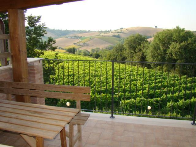 Agriturismo Vecchio Gelso Ortezzano المظهر الخارجي الصورة