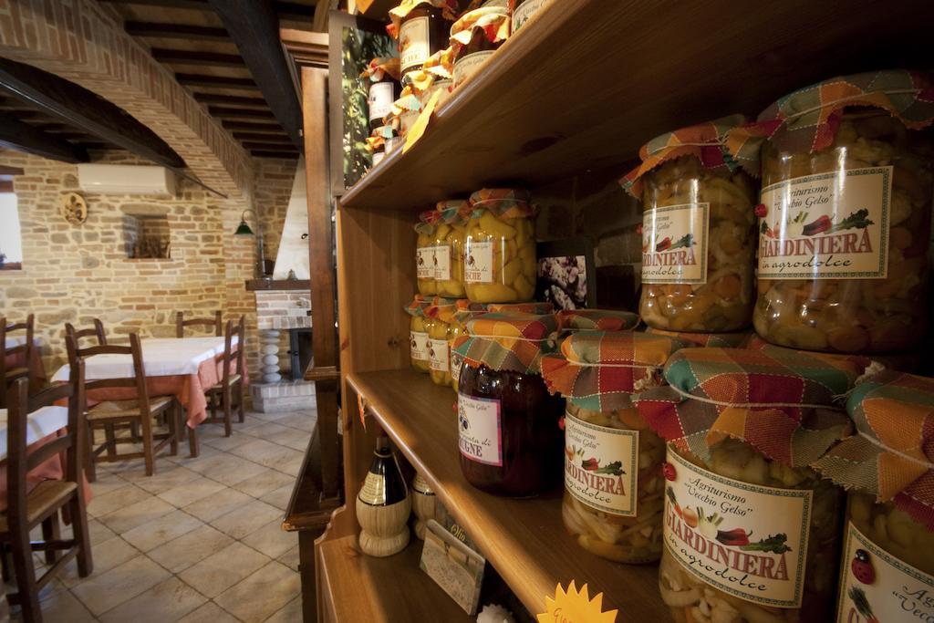 Agriturismo Vecchio Gelso Ortezzano المظهر الخارجي الصورة