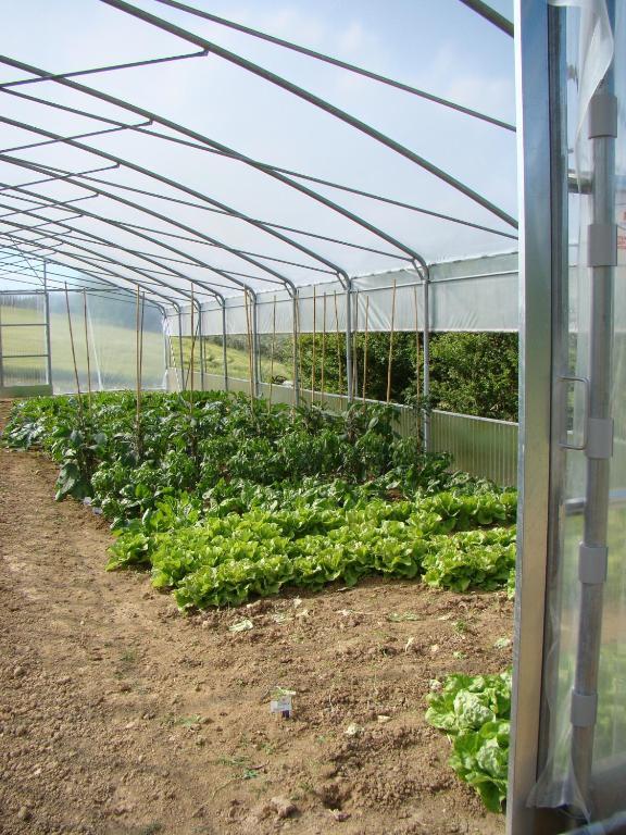 Agriturismo Vecchio Gelso Ortezzano المظهر الخارجي الصورة